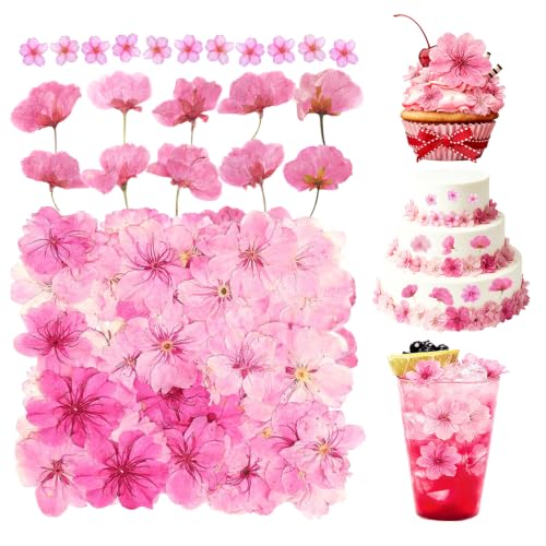 Edible Dried Flower Garnishes for Cakes Drinks & Crafts - 60 Pcs