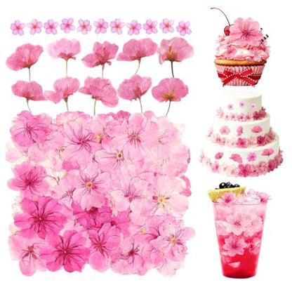 Edible Dried Flower Garnishes for Cakes Drinks & Crafts - 60 Pcs