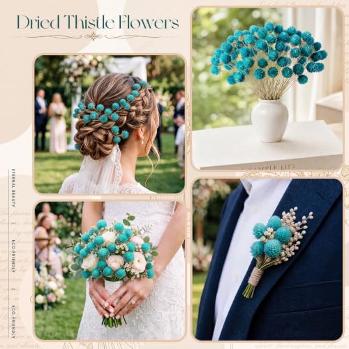 Blue Dried Globe Amaranth Flower Bouquet - 40 Stems for Wedding & Decor