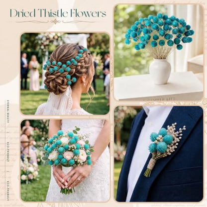 Blue Dried Globe Amaranth Flower Bouquet - 40 Stems for Wedding & Decor