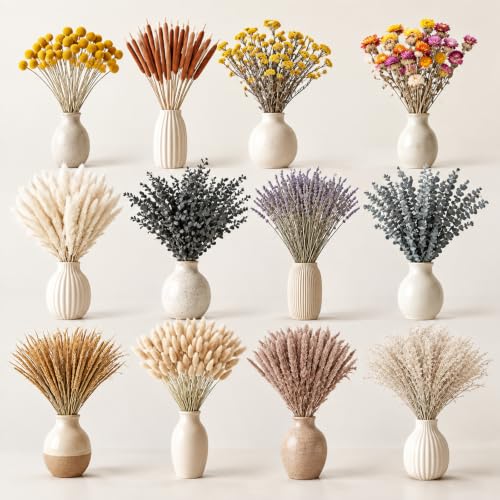 1023 Pcs Dried Flowers Pampas Grass Bundle Natural Preserved Botanicals