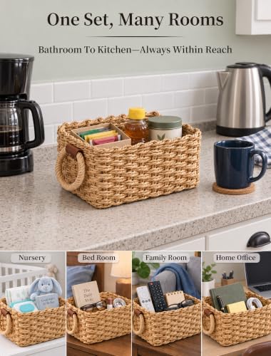 Small Wicker Storage Baskets Set of 3 - Natural Paper Rope with Handles