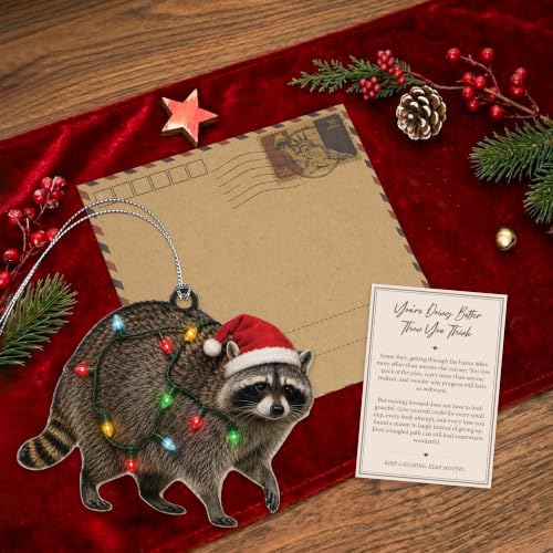Raccoon Ornament - Raccoon 08 - Funny Christmas Tree Decoration