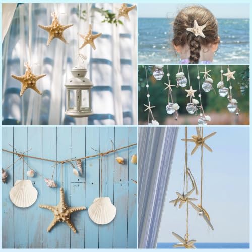 Seashells and Starfish Craft Supplies Set - 16 Pieces with Pearls and Clams