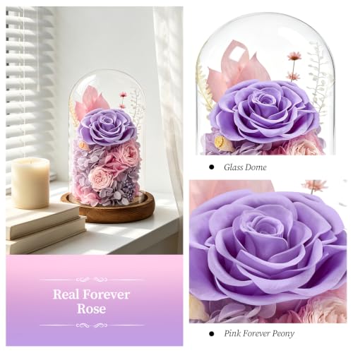Romantic Preserved Rose Glass Dome Gift - Forever Flower for Valentine’s & Special Occasions