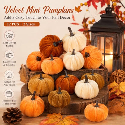Mini Velvet Artificial Pumpkins Set for Fall Decor - 12 Pcs, 2 Sizes, Harvest Halloween Thanksgiving