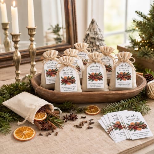 Christmas Simmering Potpourri Kit with Spices & Dried Fruits - Gift Set
