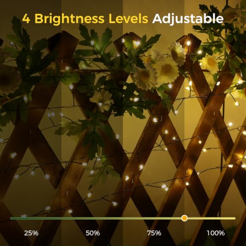 Warm White 2-Pack 20ft 200LED Christmas Fairy String Lights with 8 Modes