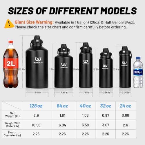 Premium 64oz Insulated Water Bottle Leak Proof with Carrier Bag - Black