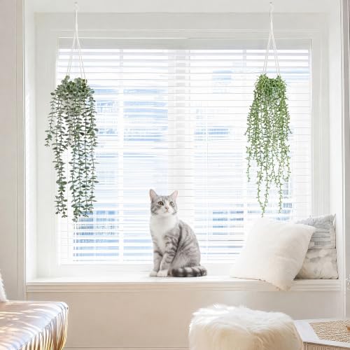 Artificial Hanging Plants Set with Macrame Plant Hangers - 2 Pack