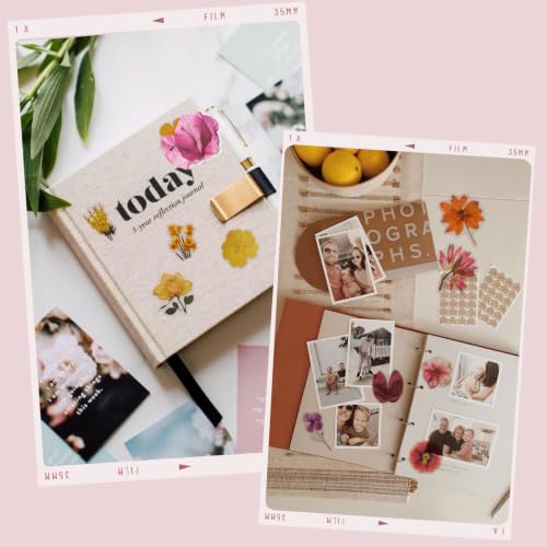 200 Pcs Waterproof Dried Flower Stickers for Scrapbooking & Resin Art