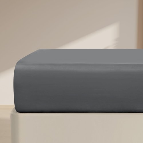 FreshCulture Queen Fitted Sheet Only – Premium Hotel-Quality Fitted Sheet for Queen Bed – Ultra Soft & Breathable Brushed Microfiber – Elegant Black Box Packaging (Dark Grey)