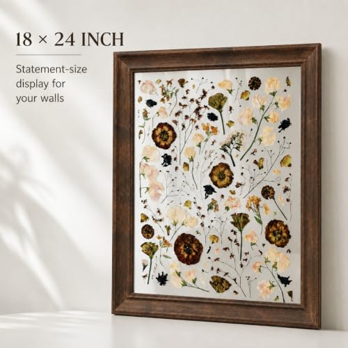 Appalachian Black Walnut Shadow Box Frame 18x24 Double UV Glass Floating Wall Decor