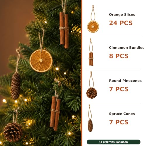 Natural Christmas Decorations Set with Dried Orange, Cinnamon, Pinecones