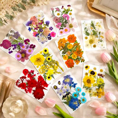 176Pcs Dried Flowers and Leaves for Resin Crafts - Pressed Natural Botanicals