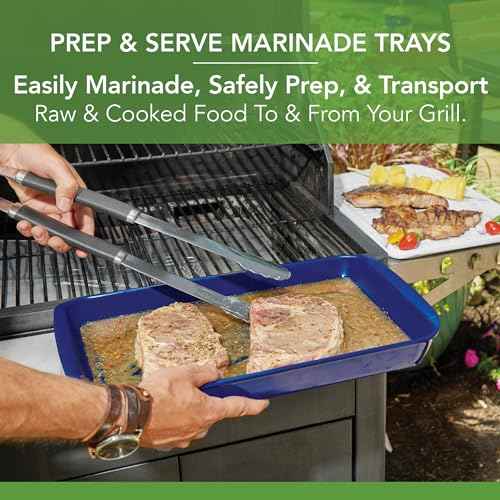 Tovolo Steak Marinating Container with Lid Large Grill Marinade and Prep Tray Set for Meat Veggies Burgers, Dishwasher Safe BBQ Marinating Tray with Cover for Thawing Prepping or Serving 17x10.5 in