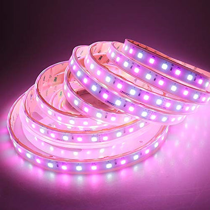IP67 Waterproof RGB+Cold White LED Strip Lights 16.4ft 6000K-6500K DC 24V - RGBW