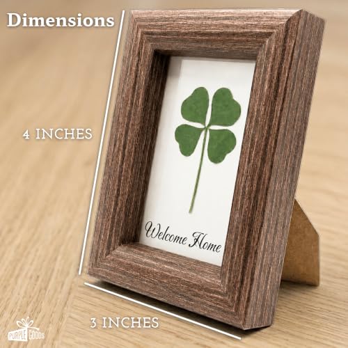 Clover Gift for Housewarming - Real Four Leaf Clover Keepsake for New Home - Variation of This Listing