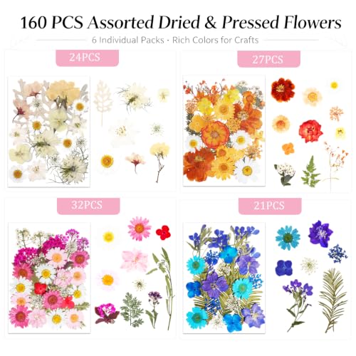 160 Pcs Natural Dried Flowers for Resin Crafts Jewelry Candle Making