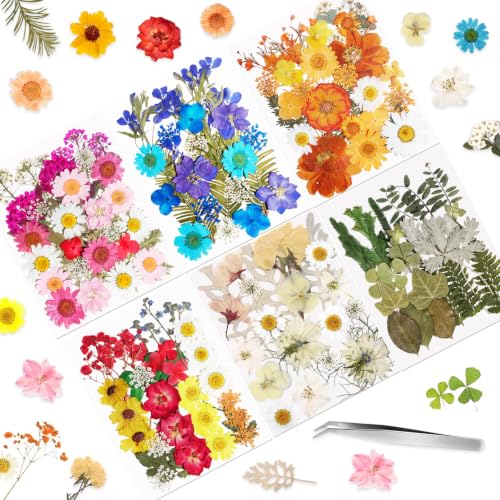 160 Pcs Natural Dried Flowers for Resin Crafts Jewelry Candle Making