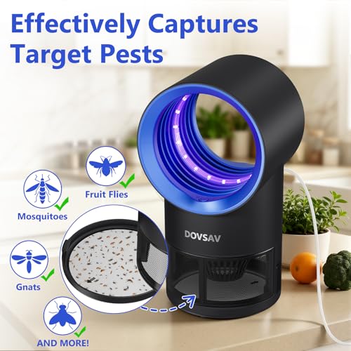 Blue Fruit Fly Trap Indoor with Suction & Timer - Pest Control Device
