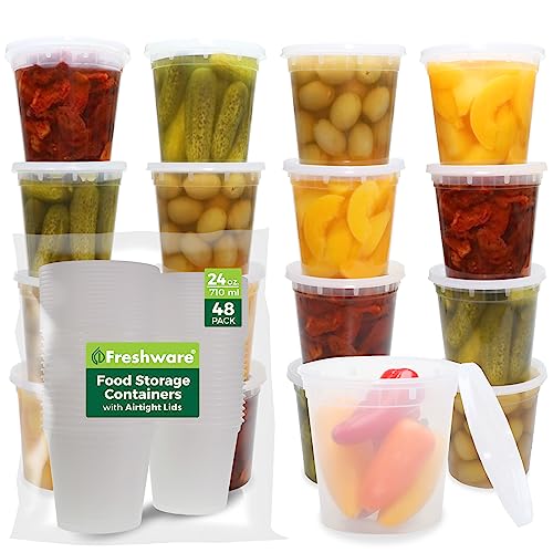 Freshware Food Storage Containers 24 oz Plastic Deli Containers with Lids, Slime, Soup, Meal Prep Containers, BPA Free, Stackable, Leakproof, Microwave/Dishwasher/Freezer Safe, 48 count (pack of 1)