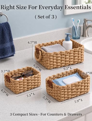 Small Wicker Storage Baskets Set of 3 - Natural Paper Rope with Handles