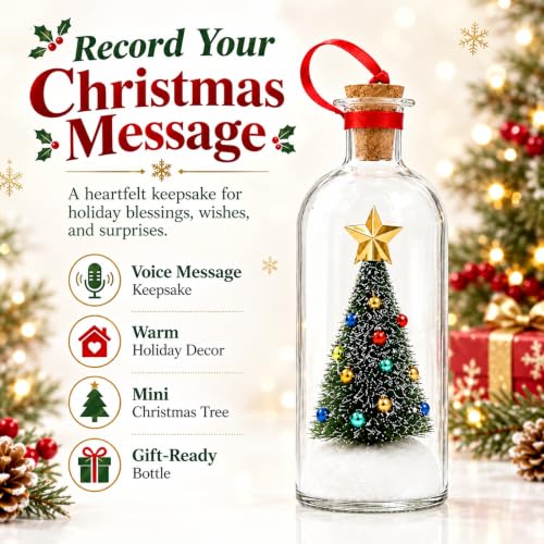 Recordable Christmas Tree Ornament with Voice Message Snow Scene