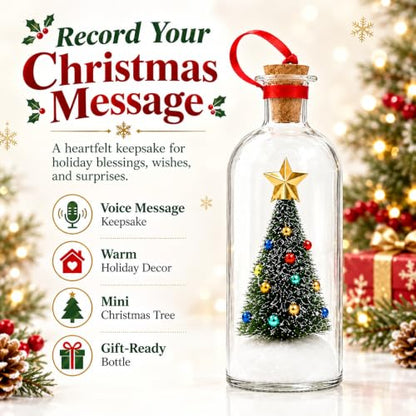 Recordable Christmas Tree Ornament with Voice Message Snow Scene