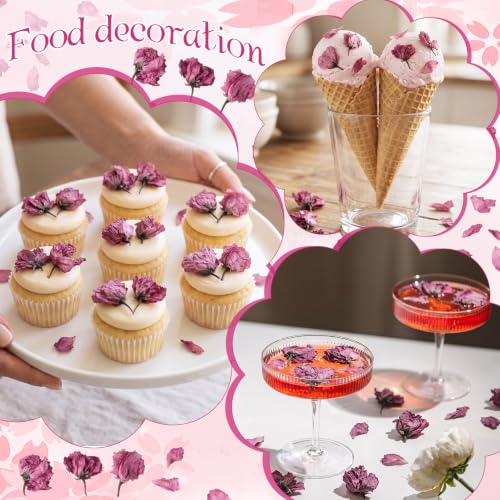Natural Dried Cherry Blossom Flowers for Culinary & Craft Use - 450+ Pieces