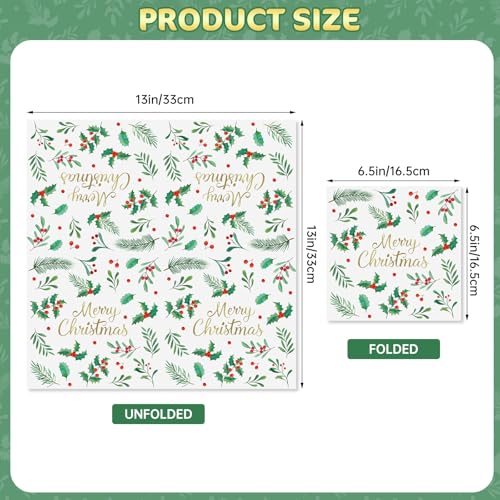 Christmas Paper Napkins 40 Pcs - 13 Inch Holiday Cocktail Dinnerware Set