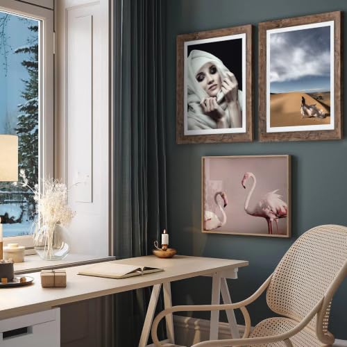 16x20 Inch Wooden Picture Frame Set of 2 with Plexiglass - Vintage Wall Art