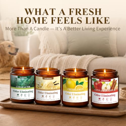 Odor Eliminating Soy Candles Set - 4 Pack, 28 oz Home Fragrance
