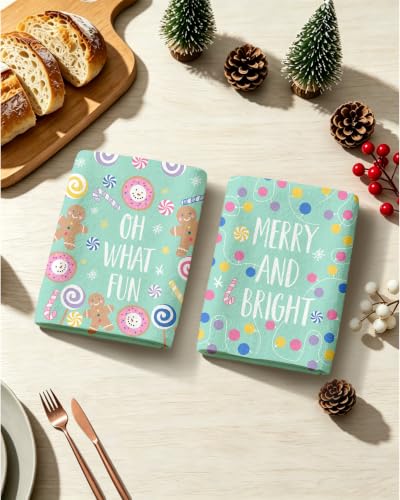 Christmas Hand Towels 2 Pack - Mint Green 18x26 Soft Absorbent Kitchen & Bathroom Towels