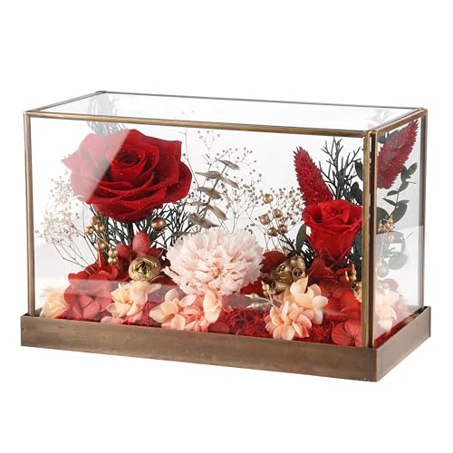 Forever Rose in Glass Dome Gift – Preserved Rose for Mom, Wife, Girlfriend