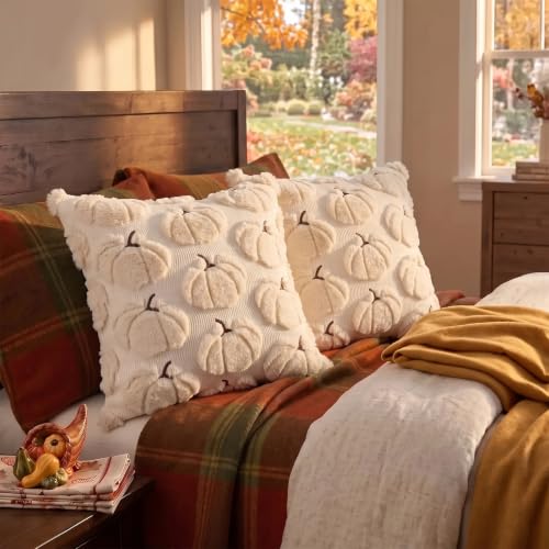 Fall Pumpkin Pillow Covers 18x18 Set of 2 Beige - Seasonal Decor