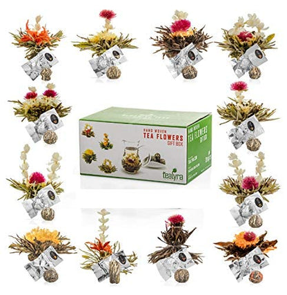 Tealyra - 12 pcs Blooming Flowering Tea - 12 Variety Flavors of Finest Blooming Teas – All Tea Balls Individually Sealed - Great Gift Bloom Teas Box