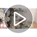 Snow Flocked Christmas Tree 6ft with Remote Control - White Variant