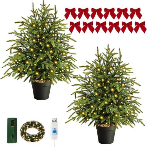 Gradient 2FT Pre-Lit Norfolk Pine Christmas Tree with Lights & Timer
