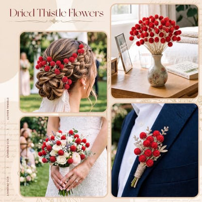 40 Pcs Dried Globe Amaranth Flowers - Red Floral Bouquet for DIY & Decor