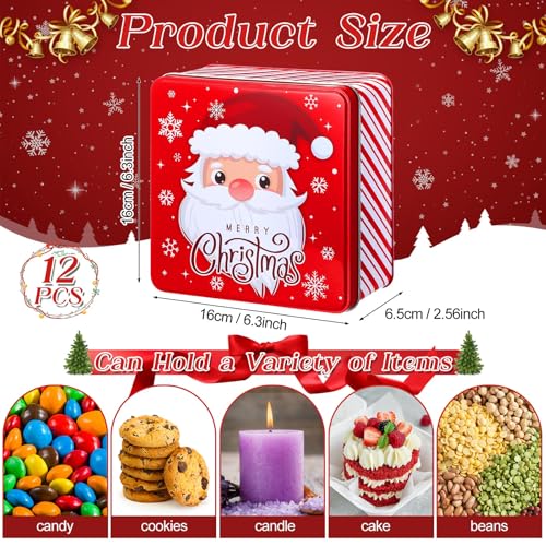 12 Pack Large Christmas Cookie Tin Set with Airtight Lids - Holiday Gift