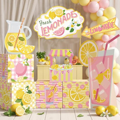 Pink Lemonade Party Decorations Set with Photo Props and Standee