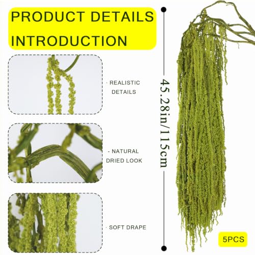 Green Preserved Amaranthus Hanging Flowers - 5 Pcs, 45 Inches