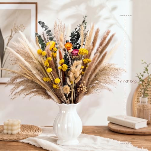 1023 Pcs Dried Flowers Pampas Grass Bundle Natural Preserved Botanicals