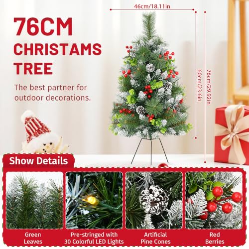30 Inch Outdoor Christmas Tree Set with Lights - 2 Pack Prelit Holiday Decor