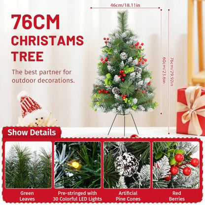 30 Inch Outdoor Christmas Tree Set with Lights - 2 Pack Prelit Holiday Decor