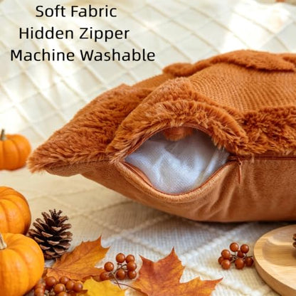 18x18 Inch Fall Pumpkin Pillow Covers Set of 2 - Autumn Thanksgiving Decor
