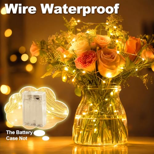 2 Pack 16.4ft Battery Operated Fairy String Lights with Timer - Waterproof Indoor & Outdoor Decor