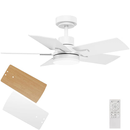 Regair Small Ceiling Fan With Light 32 Inch, Remote Control DC Motors, 3CCT 3000K-4000K-6500K Dimmable Timer Noiseless, Modern White Compact Ceiling Fan for Indoor & Outdoor