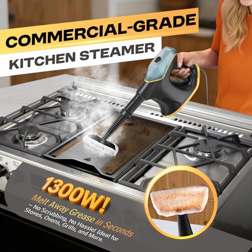 Heavy Duty Handheld Steam Cleaner with 9 Accessories for Home Car Kitchen